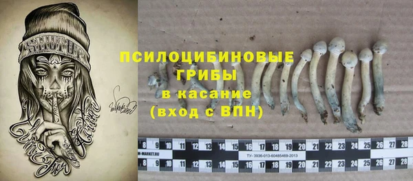винт Ладушкин